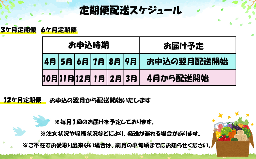 【定期便３ヶ月】イーハトーヴ野菜B 満足セット 9品～ 詰め合わせ＜予約受付2026年4月より発送開始＞ 【1204】