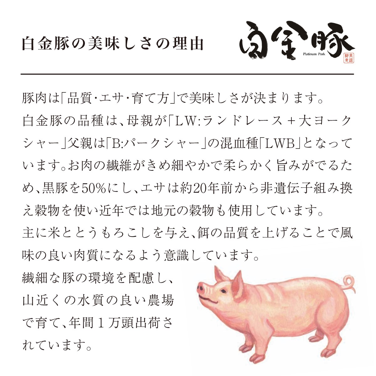 白金豚ローススライス【大】　500g×2パック 【2129】