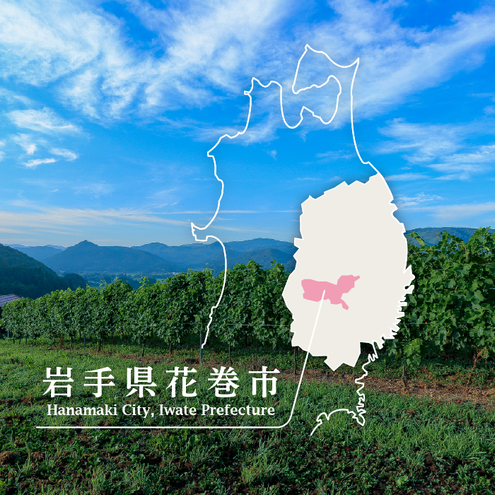  Vespinae（ベスピナエ）リースリングリオン 2024 白ワイン 750ml×1本 【2165】