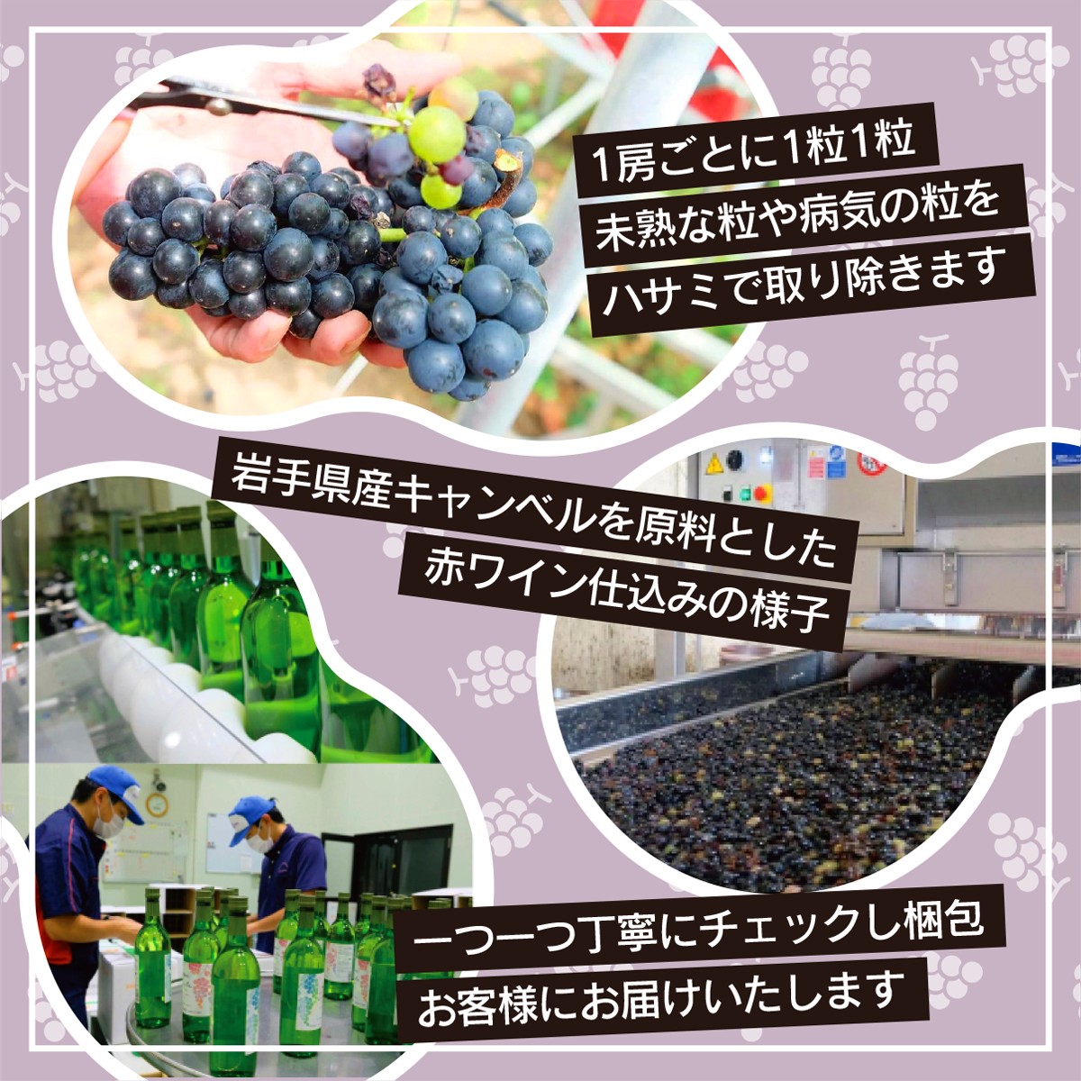 特別限定醸造ワインを毎月お届け！エーデルワイン 12か月定期便　毎月1本お届け 【629】