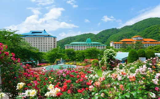 ワーケーション利用ができる宿泊券！１ヵ月コース（28泊29日）花巻温泉 ビジネス応援プラン 【787】