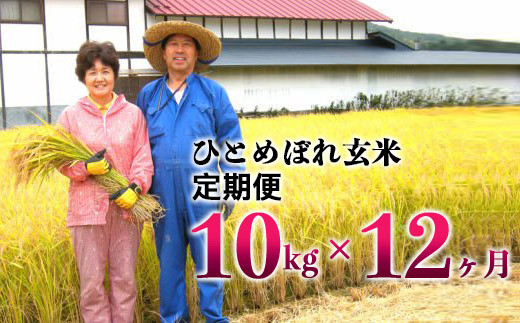 【12ヶ月定期便】減農薬栽培 ひとめぼれ 玄米 10kg（5kgx2袋） 【1113】