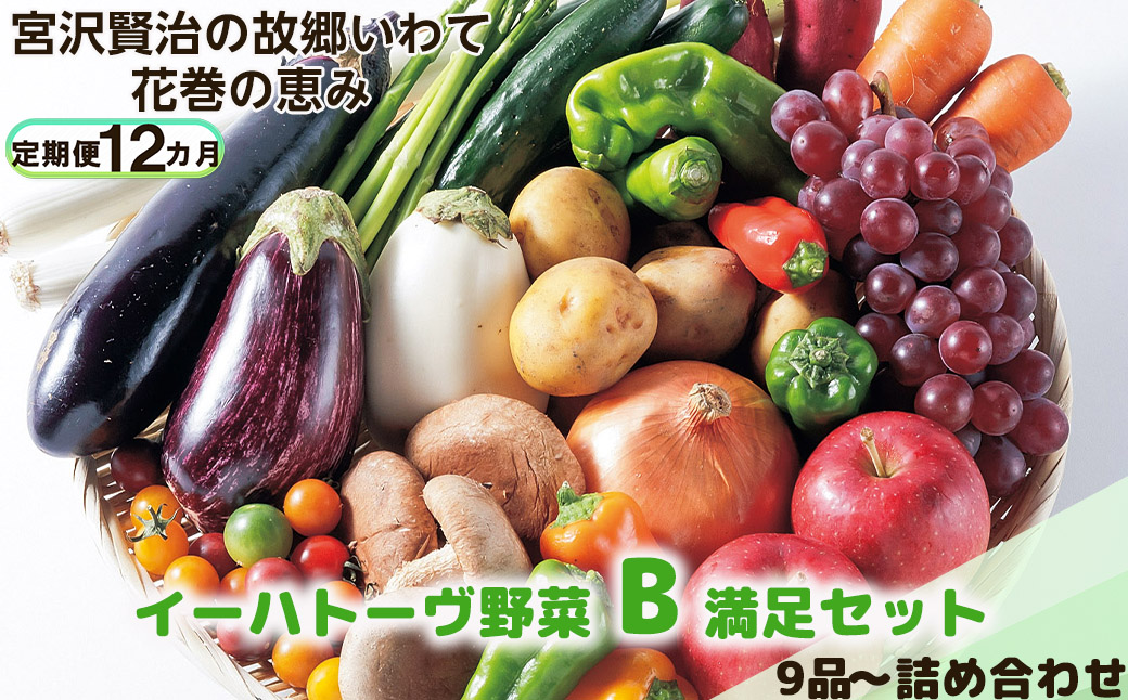 【定期便12ヶ月】イーハトーヴ野菜B 満足セット 9品～ 詰め合わせ 【1206】