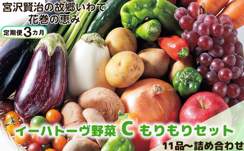 【定期便３ヶ月】イーハトーヴ野菜C もりもりセット 11品～ 詰め合わせ＜予約受付2026年4月より発送開始＞ 【1208】