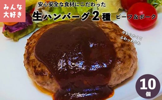 みんな大好き  ハンバーグ  10個セット （ビーフ・ポーク）【1223】