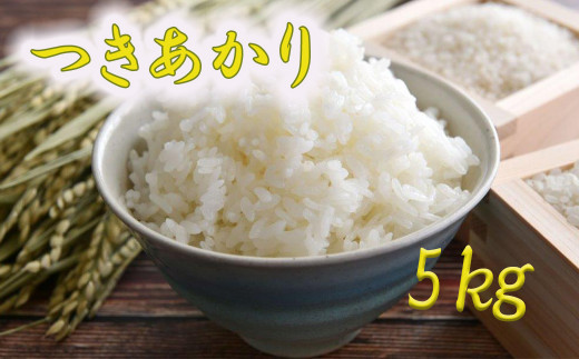 つきあかり 精米 5kg 【1398】