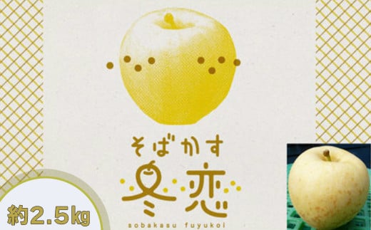 そばかすりんご 冬恋はるか 自家用 （サビあり） 約2.5kg　≪予約受付≫ 【1666】