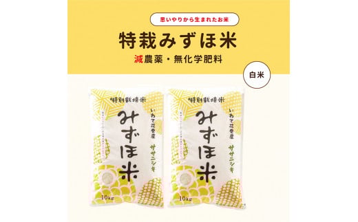 特別栽培みずほ米 ササニシキ 白米  20kg（10kg×2袋） 【1760】
