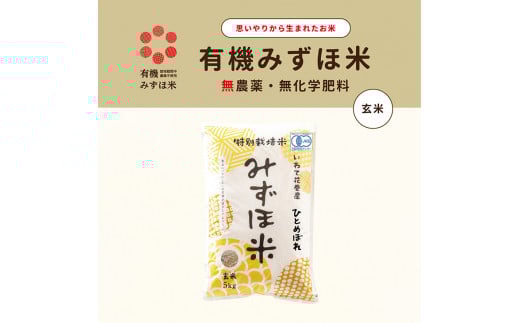 有機JAS転換みずほ米 ひとめぼれ 玄米 5kg【1767】