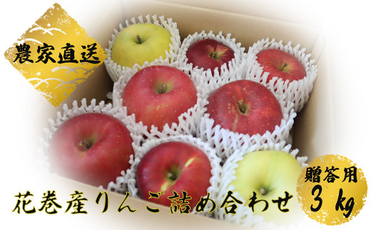 花巻産 りんごミックス 贈答用 詰め合わせ（約3kg） 【1779】