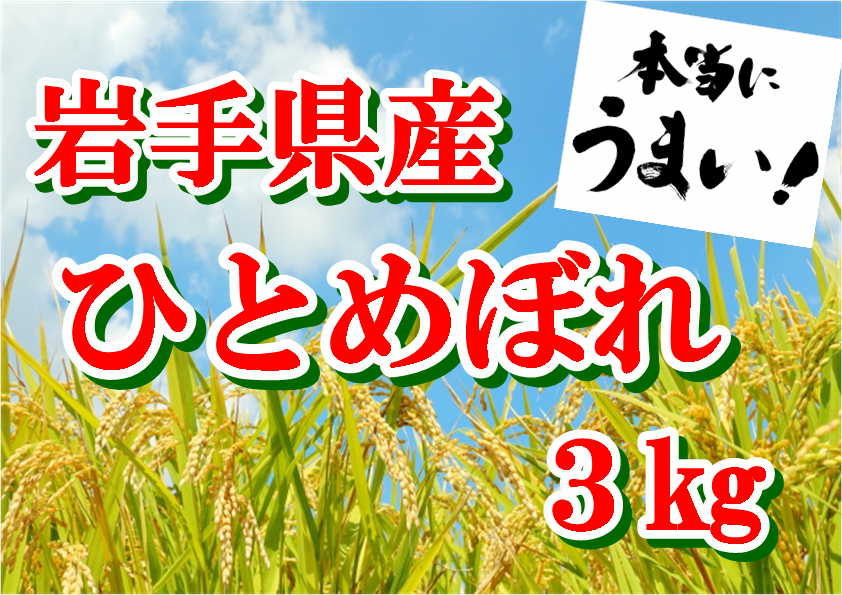 【令和7年産】岩手県産ひとめぼれ3kg 【1818】