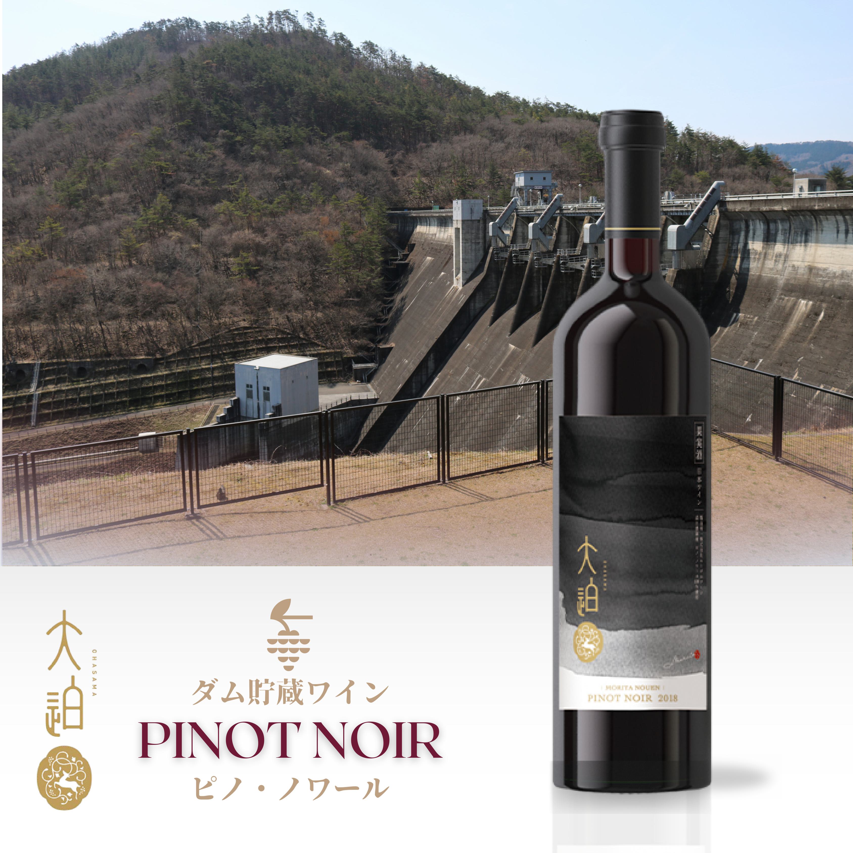 「早池峰の恵み」モリタワイン ダム貯蔵ワイン ピノ・ノワール2017　720ml×1本 【2103】