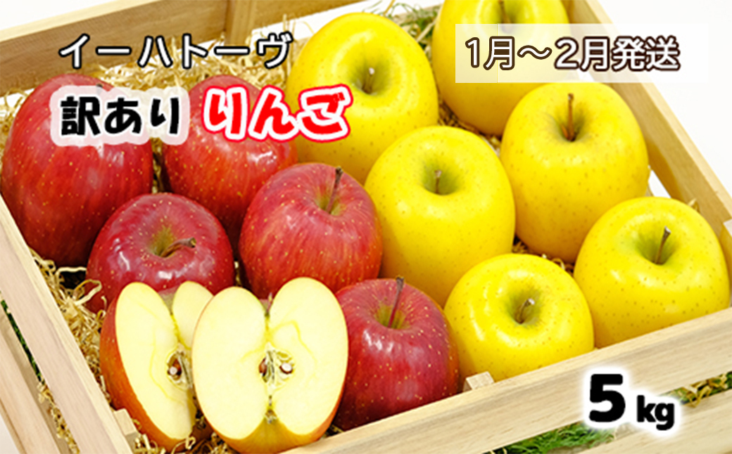 イーハトーヴ 訳アリ りんご 約５ｋｇセット《2025年1月より発送予定/予約受付》 【280-1】