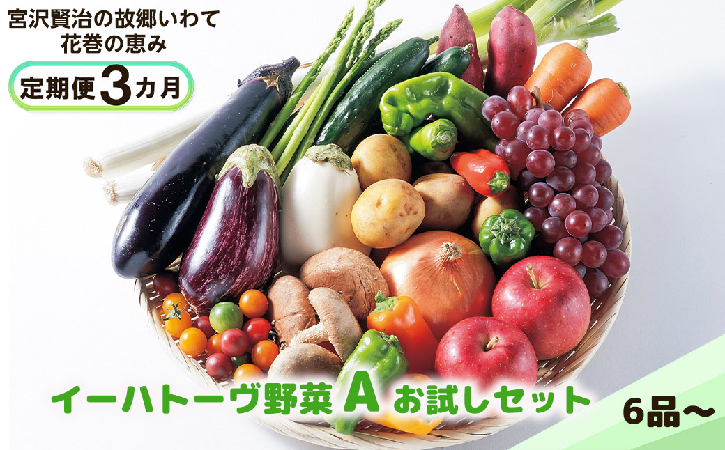 【定期便３ヶ月】イーハトーヴ野菜A お試しセット6品～＜予約受付2026年4月より発送開始＞ 【293】