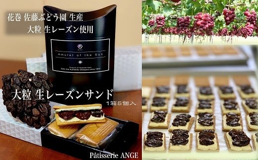 大粒生レーズンサンド　（佐藤ぶどう園産生レーズン使用） 【327】