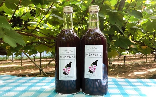＜予約受付！＞【糖度18～20度のぶどう100％使用】ぶどうジュース２本セット 【531】