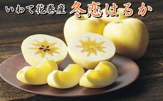 【数量・季節限定】岩手が生んだ究極のりんご『冬恋はるか』2.5kg　≪予約受付≫ 【570】