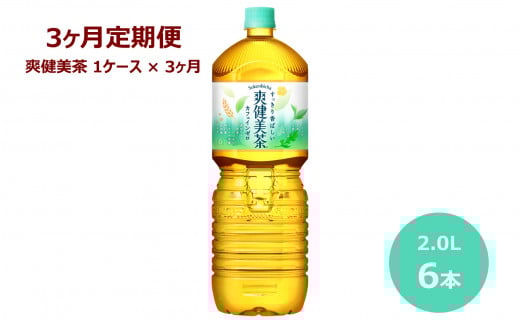 【3ヶ月定期便】爽健美茶 ２Lペットボトル　６本セット 【599】