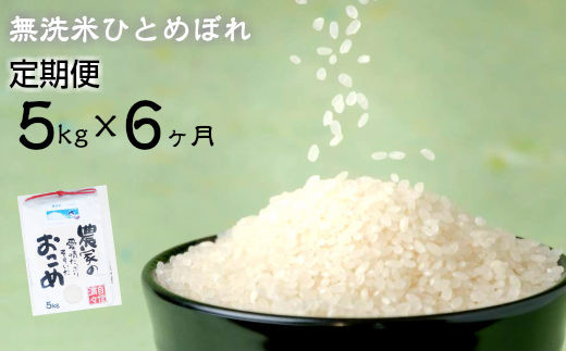 ≪令和7年産≫ 【定期便 6ヶ月】 減農薬栽培 ひとめぼれ 無洗米 5kg 【713】