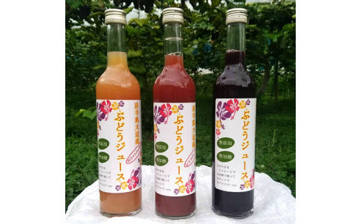 ぶどうジュース 3種飲み比べ 500ml×3本セット 【751】