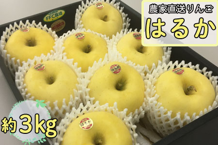 蜜入り はるか3kg いわて花巻 【811】