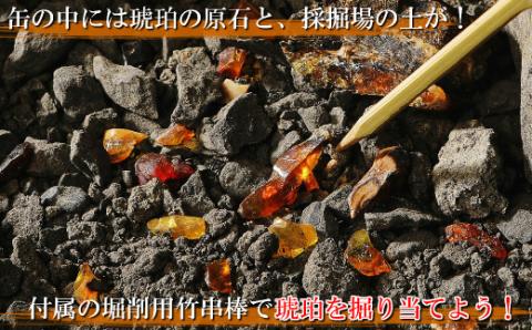 【自宅で琥珀の採掘体験！？】「琥珀缶詰」採掘体験缶セット