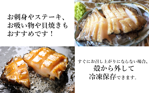 【年内お届け！】★産地直送★「北三陸産天然活あわび500ｇ」鮑 アワビ 魚介 500g 海鮮 冷蔵 刺身 お祝い 産地直送 三陸 岩手 「活あわび」500ｇ