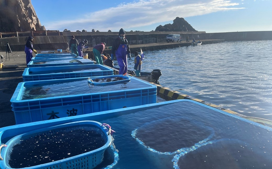 「2026年発送予約分」久慈市麦生産「黄金雲丹」170g（牛乳瓶入り 生うに）