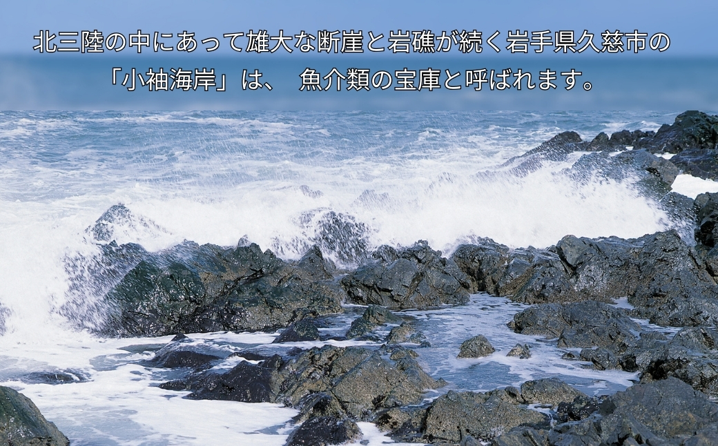 「海女の磯漬け 250g×2箱セット」海鮮 醤油漬け 海の幸 丼の具 うに あわび めかぶ いくら ミックス ギフト 個包装 詰め合わせ 時短 おかず ごはん お茶漬け 冷凍 長期保存 人気 ランキング おいしい おつまみ 【通常発送分（1ヵ月以内）】