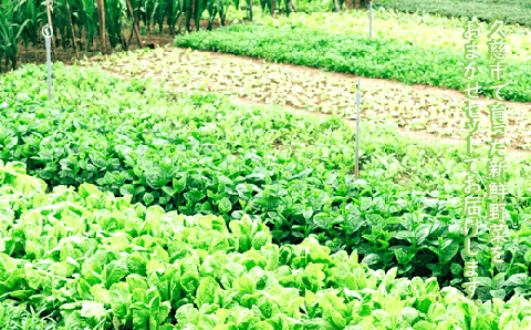 【安全・安心・産直直送！】季節の野菜詰め合わせ（おまかせセット）