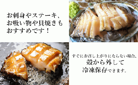 【年内お届け！】★産地直送★「北三陸産天然活あわび300ｇ」鮑 アワビ 魚介 300g 海鮮 冷蔵 刺身 お祝い 産地直送 三陸 岩手 「活あわび」300ｇ