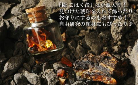 【自宅で琥珀の採掘体験！？】「琥珀缶詰」採掘体験缶セット