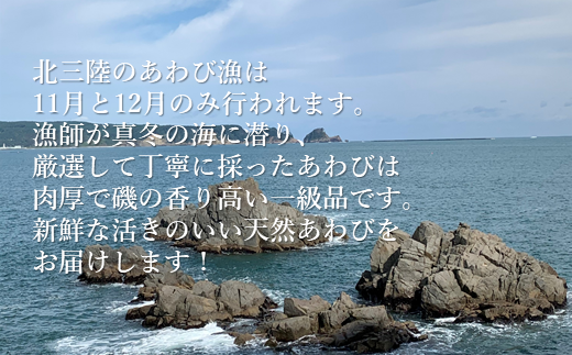 【年内お届け！】★産地直送★「北三陸産天然活あわび500ｇ」鮑 アワビ 魚介 500g 海鮮 冷蔵 刺身 お祝い 産地直送 三陸 岩手 「活あわび」500ｇ