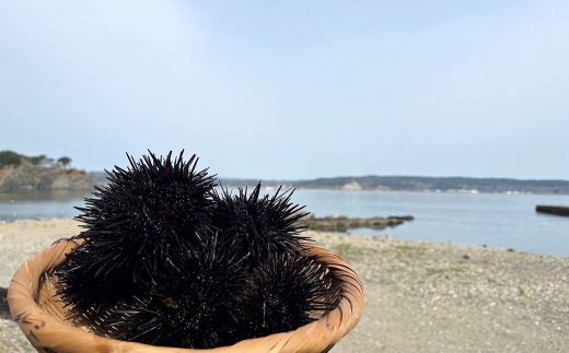 「先行予約」2026年発送分「ミョウバン不使用！ 牛乳瓶入 生うに 180g×1本」　岩手 三陸 久慈 冷蔵 牛乳瓶 生 雲丹 ウニ 新鮮 添加物不使用 ミョウバン不使用 配送指定日不可 ５月ＧＷ以降発送予定 180ｇ×１本（牛乳瓶入）※2026年発送