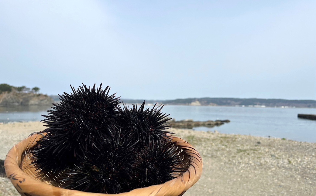 「先行予約」2026年発送分「ミョウバン不使用！ 小瓶入 生うに 60g×2本」　岩手 三陸 久慈 冷蔵 小分け 生 雲丹 ウニ 新鮮 添加物不使用 ミョウバン不使用 配送指定日不可 ５月ＧＷ明け以降発送予定 60ｇ×２本（小瓶入）※2026年発送