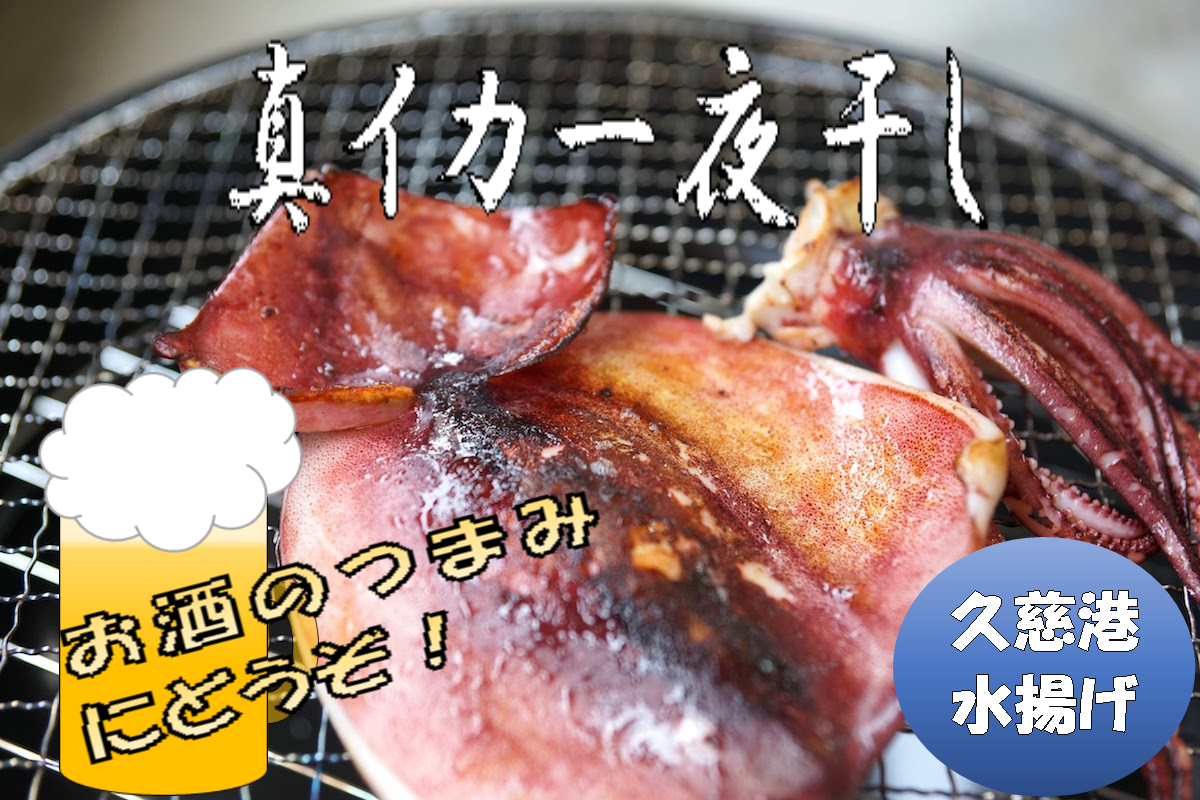 【久慈港水揚げ】イカ一夜干し３枚入り×１袋