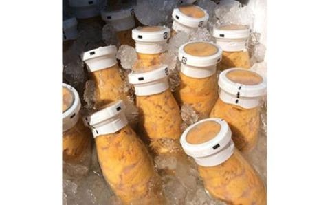 先行予約「2026年発送」 北三陸の生うには今だけ！無添加採れたて「生うに」そのままビン詰180ｇ （岩手 三陸 久慈 牛乳瓶 冷蔵 180ｇ 1本 生 雲丹 ウニ 新鮮 添加物不使用 ミョウバン不使用 送料無料 配送指定日不可 ５月中旬頃から発送予定） １本（180ｇ）