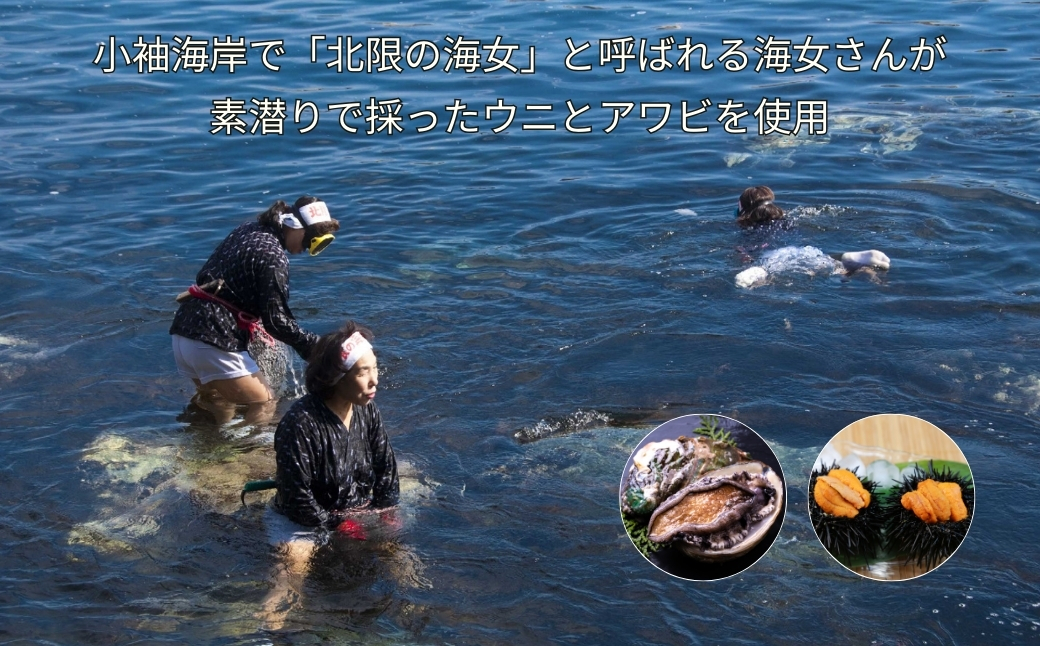 「海女の磯漬け 250g×2箱セット」海鮮 醤油漬け 海の幸 丼の具 うに あわび めかぶ いくら ミックス ギフト 個包装 詰め合わせ 時短 おかず ごはん お茶漬け 冷凍 長期保存 人気 ランキング おいしい おつまみ 【通常発送分（1ヵ月以内）】