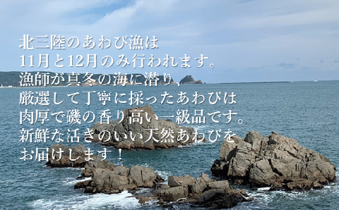 【年内お届け！】★産地直送★「北三陸産天然活あわび300ｇ」鮑 アワビ 魚介 300g 海鮮 冷蔵 刺身 お祝い 産地直送 三陸 岩手 「活あわび」300ｇ