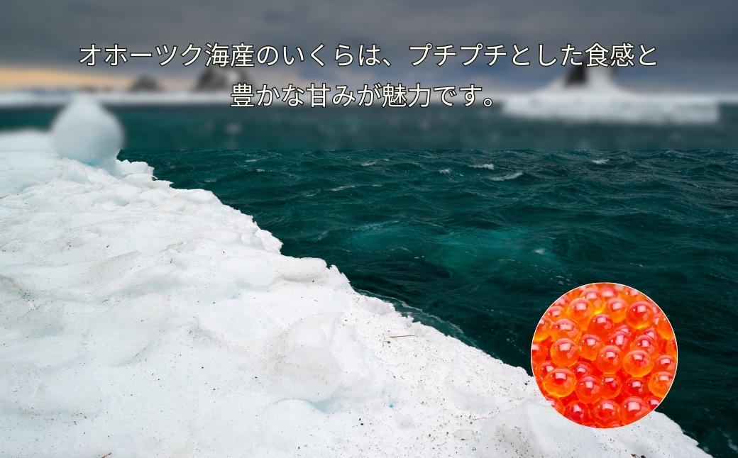 「海女の磯漬け 250g×4箱セット」海鮮 醤油漬け 海の幸 丼の具 うに あわび めかぶ いくら ミックス ギフト 個包装 詰め合わせ 時短 おかず ごはん お茶漬け 冷凍 長期保存 人気 ランキング おいしい おつまみ 【通常発送分（1ヵ月以内）】