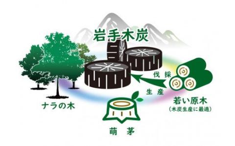 【火つき・火力・火持ちよしの国産高級木炭】岩手切炭（ＧＩ）3ｋｇ×4個　なら堅一級