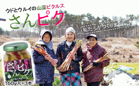 酸味ひかえめで「うまマイルド」！さんピクー北三陸山菜ピクルスー３本セット