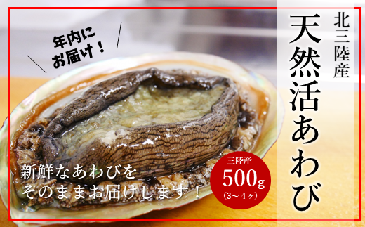 【年内お届け！】★産地直送★「北三陸産天然活あわび500ｇ」鮑 アワビ 魚介 500g 海鮮 冷蔵 刺身 お祝い 産地直送 三陸 岩手 「活あわび」500ｇ