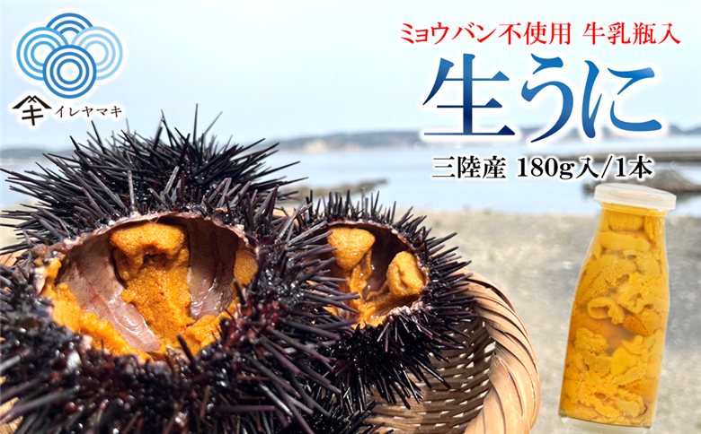 「先行予約」2026年発送分「ミョウバン不使用！ 牛乳瓶入 生うに 180g×1本」　岩手 三陸 久慈 冷蔵 牛乳瓶 生 雲丹 ウニ 新鮮 添加物不使用 ミョウバン不使用 配送指定日不可 ５月ＧＷ以降発送予定 180ｇ×１本（牛乳瓶入）※2026年発送