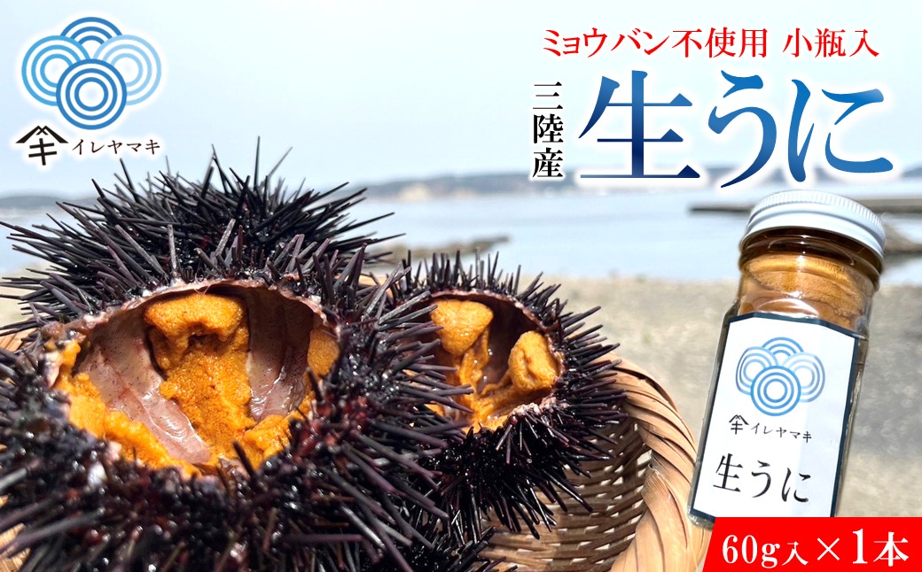 「先行予約」2026年発送分「ミョウバン不使用！ 小瓶入 生うに 60g」　岩手 三陸 久慈 冷蔵 小分け 生 雲丹 ウニ 新鮮 添加物不使用 ミョウバン不使用 配送指定日不可 ５月ＧＷ以降発送予定 60ｇ×１本（小瓶入）※2026年発送
