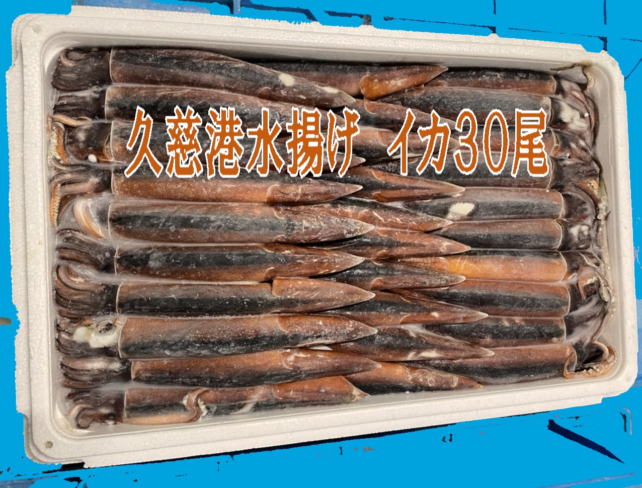 【久慈港水揚げ】三陸の生イカ３０尾（急速冷凍）