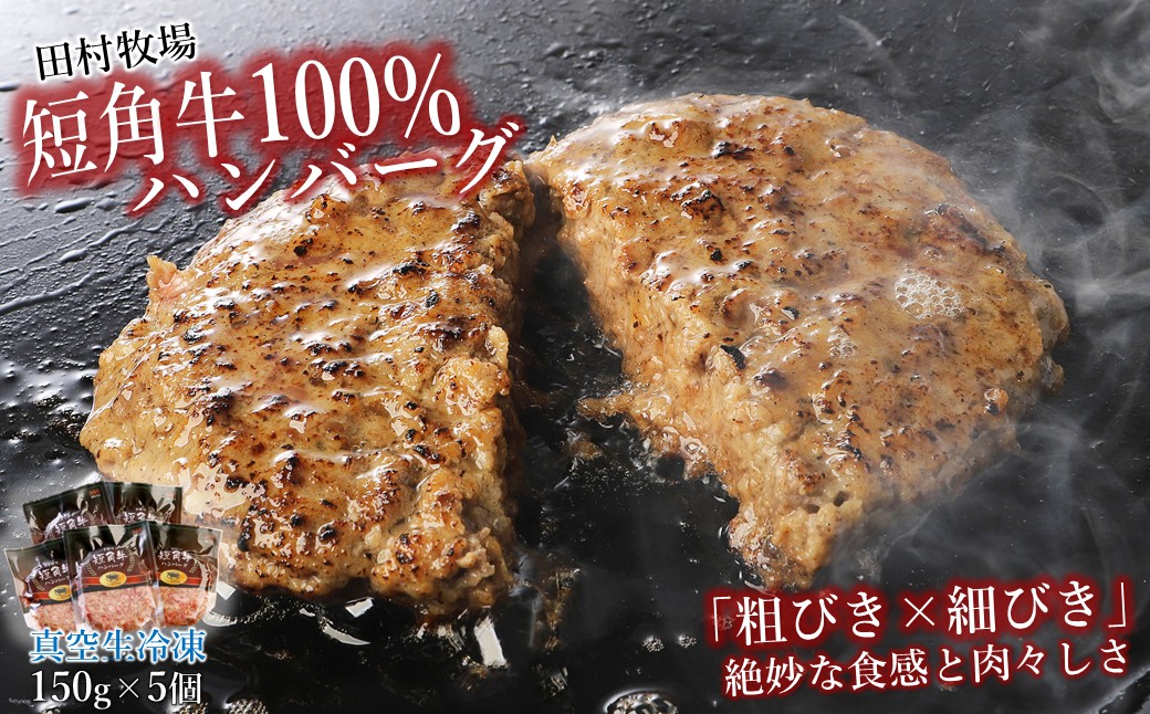 田村牧場 短角牛100%ハンバーグ 150g×5個セット（冷凍 いわて 短角牛 牛肉 牛 国産 肉汁 たっぷり ギフト 冷凍 ジューシー キャンプ BBQ 煮込み 贈りもの ご褒美 プレゼント）