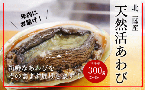 【年内お届け！】★産地直送★「北三陸産天然活あわび300ｇ」鮑 アワビ 魚介 300g 海鮮 冷蔵 刺身 お祝い 産地直送 三陸 岩手 「活あわび」300ｇ