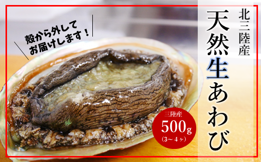 [年内お届け!]★殻から外してお届け★「北三陸産天然生あわび500g」鮑 アワビ 魚介 選べる 500g 処理済み 海鮮 冷蔵 刺身 お祝い 産地直送 三陸 岩手