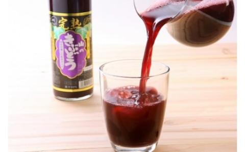 【濃厚！久慈産山ぶどうを３年間真空熟成】完熟山のきぶどう600ml×2本入